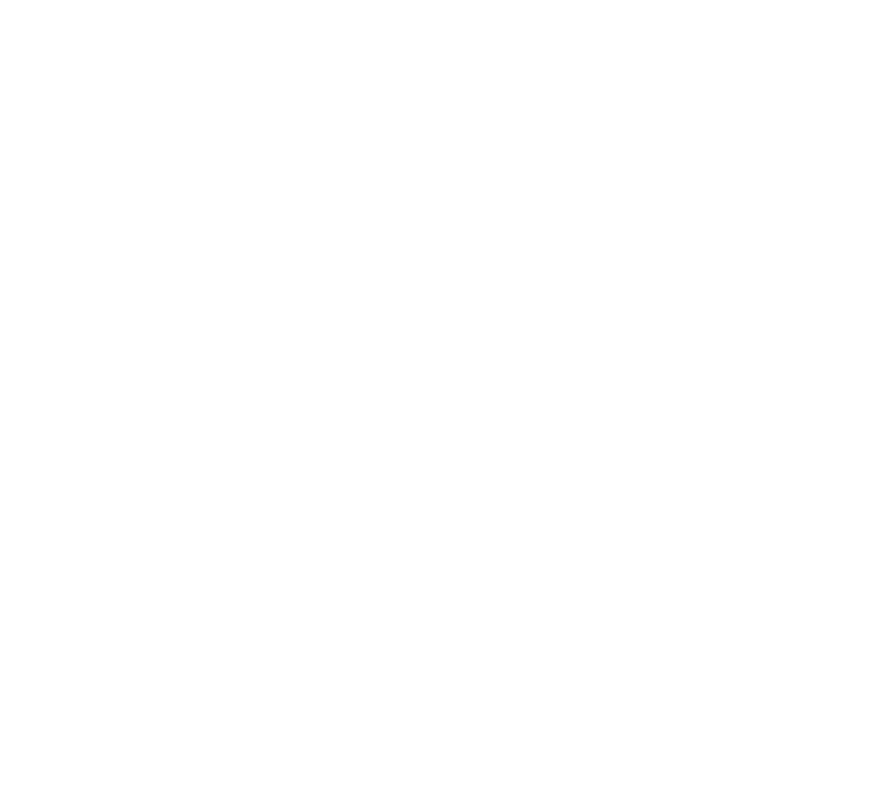 ARISTON