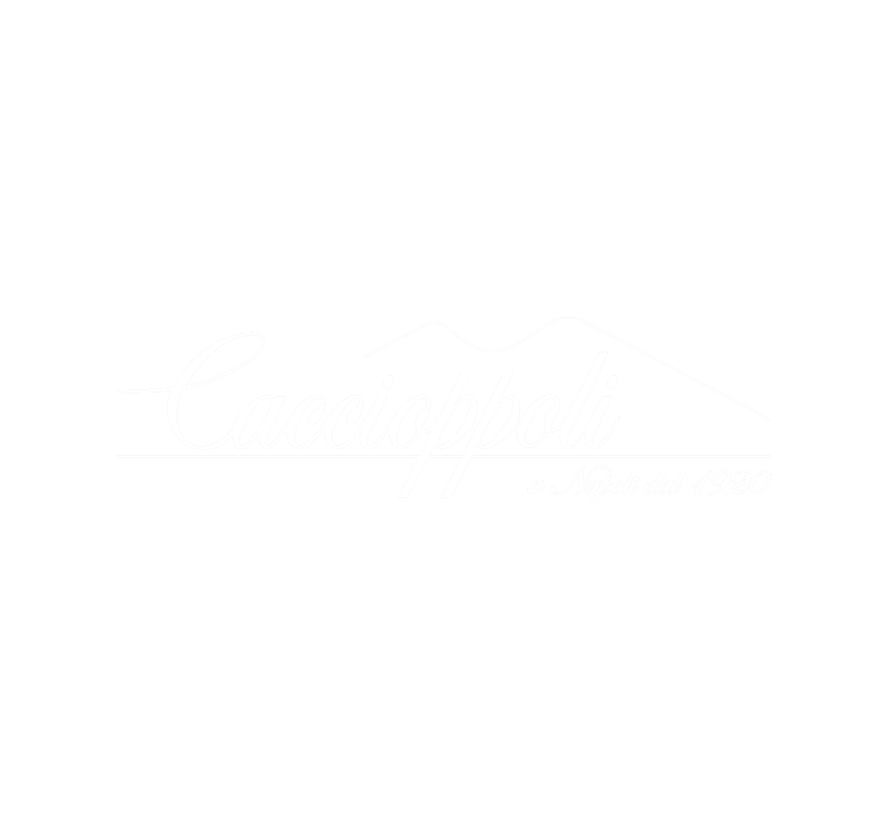 CACCIOPPOLIO